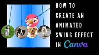 How to Create an Animated Swing Effect in Canva