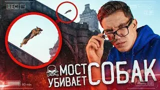 Мост УБИВАЕТ собак!!! Самое загадочное место в мире!