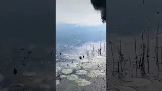 Озеро Любенское