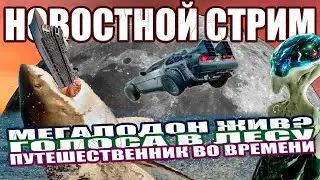 Мегалодон Жив? / Дождь из Рыбы / Голоса Леса / «Стена Смерти» на Луне /Путешествие во Времени СТРИМ