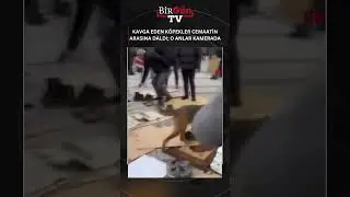 Kavga eden köpekler cemaatin arasına daldı; o anlar kamerada