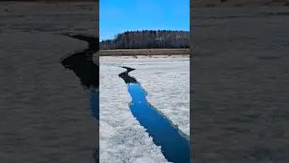 Лодка во льдах.