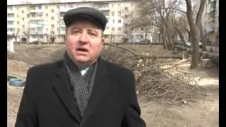 Спил деревьев во дворе