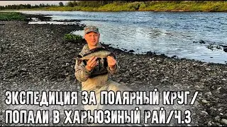 Экспедиция за полярный круг/Харьюзиный рай/Интервью с 