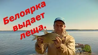 Белоярка выдает леща!!!