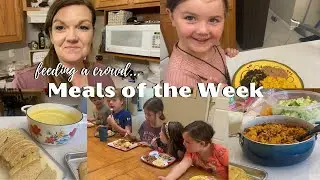 Feeding a Crowd || Large Family Meals of the Week