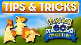 CYNDAQUIL COMMUNITY DAY TIPS & TRICKS | POKEMON GO