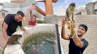 Monkey Ko Mini Zoo Le Aya Sab Dekh K Bht Khush Hogae😍