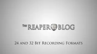 24 and 32 bit Recording Formats in REAPER