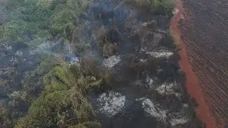 Governo envia ajuda para combater incêndios florestais em São Paulo | AFP