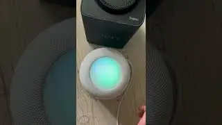 Яндекс Станция Макс или HomePod? 🔊