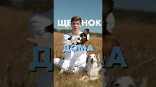 Для начала, успокойтесь сами🙌🏽 И не мешайте собаке познакомиться с новым местом и адаптироваться😄