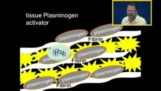 Thrombolytics