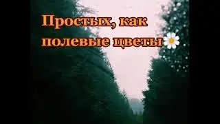 Простых, как полевые цветы   