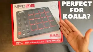 Is the Akai MPD218 the Perfect Controller for Koala Sampler?