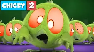 Wheres Chicky? Funny Chicky 2021 | MONSTER & CIE | Chicky Cartoon in English for Kids