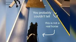 Hobbyhorse showjumping round - GoPro