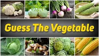 Guess The Vegetable Quiz🥬 | Name The Vegetable Quiz