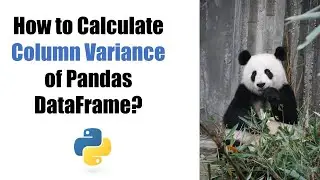 How to Calculate the Column Variance of a DataFrame in Python Pandas?