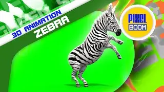 Zebra Green Screen 3D Animation PixelBoom