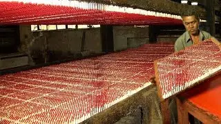 They Produce Billions of Matches - You Won't Believe Manufacturing Process of Factory Machines