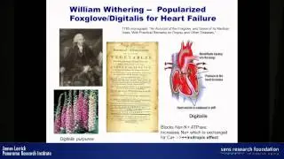 Sodium-potassium ATPase modulation for aging related disease - James Larrick