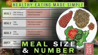 Stabilizing Meal Size and Number  | Healthy Eating Made Simple #4