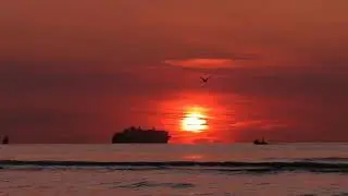 Просто смотри