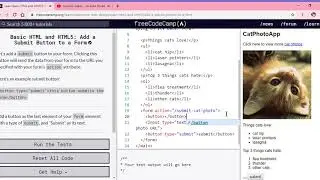 Learn Basic HTML and HTML5  Add a Submit Button to a Form   freeCodeCamp