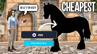 BUYING THE *CHEAPEST* HORSES IN STAR STABLE ONLINE!!