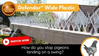 How to Stop Pigeons Landing on a Swing | Defender® Plastic Bird Spikes Stop Birds on Play Equipment