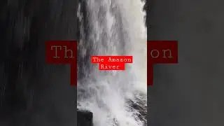 Waterfall. The Amazon River #usa #youtube #uk #tiktok #funny #animals #walking #comedy #waterfall