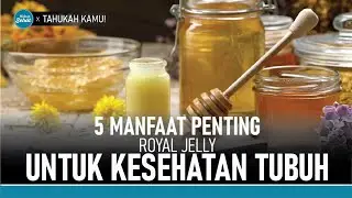 Jaga Kesehatan Otak dan Tubuh dengan Royal Jelly | Hidup Sehat tvOne