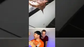 Try not to Laugh 🍫 | Part 79