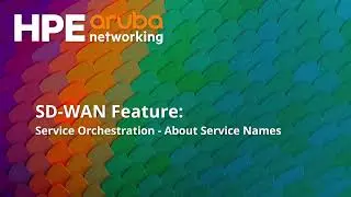 SD WAN Feature: Service Orchestration - About Service Names