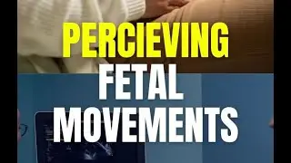 Percieving Fetal movements | Fetal Movement During Pregnancy | Babys Movement