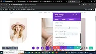 How to make any image sticky in divi wordpress website