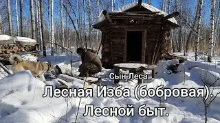 Лесная изба (бобровая). Лесной быт.