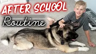 After School Routine *Updated 2024*