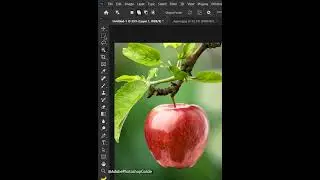 Adobe Photoshop Guide