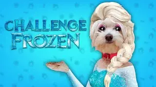 FROZEN CHALLENGE! ❄️Mi Perro ME CONGELA!⛄️🐶 Anima Dogs