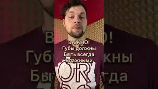 Липролл быстро и понятно! 