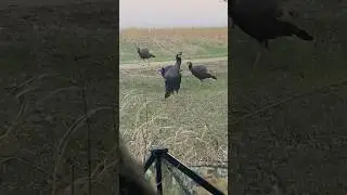 Iowa Youth Turkey Hunt | Emma’s First Turkey