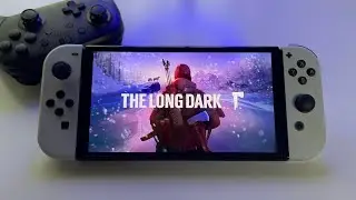 The Long Dark - REVIEW | Switch OLED handheld gameplay