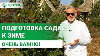 Готовим плодовые к зиме. ЕЩЕ НЕ ПОЗДНО СДЕЛАТЬ ЭТО!