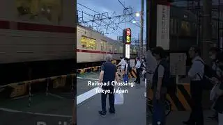 Railroad Crossing in Tokyo, Japan