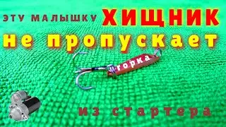 ЗИМНЯЯ БЛЕСНА 