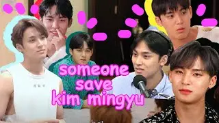 someone save kim mingyu from seventeen