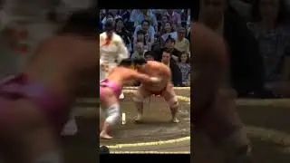 Сила против ловкости Онасё vs Ура Нагоя Басё 2024 #japan #sumo #сумо #duel #япония #sport #wwe #ufc