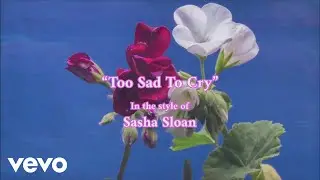 Sasha Alex Sloan - Too Sad To Cry instrumental (Karaoke Version)